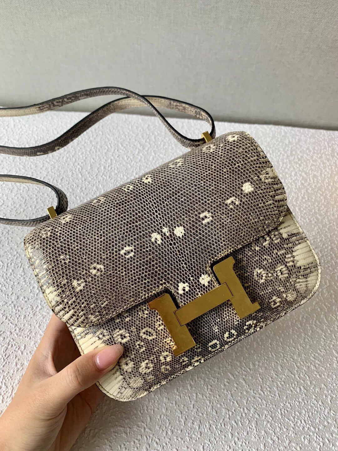 Hermes-Constanse mini 19-ombre Lizard 金扣