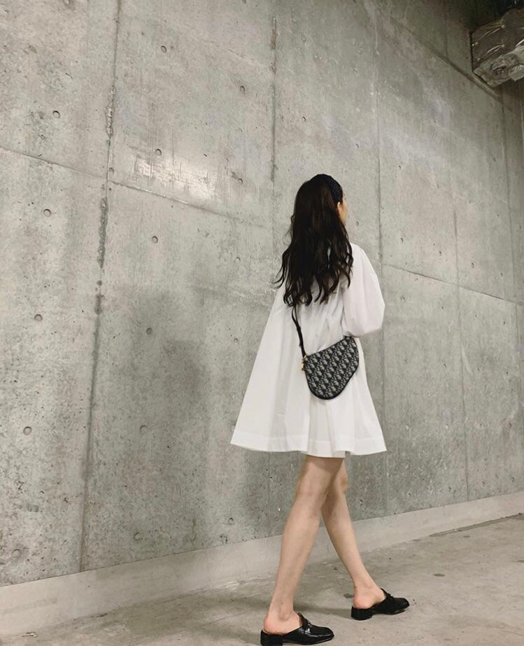 Dior Saddle 馬鞍包-三隔層 20cm