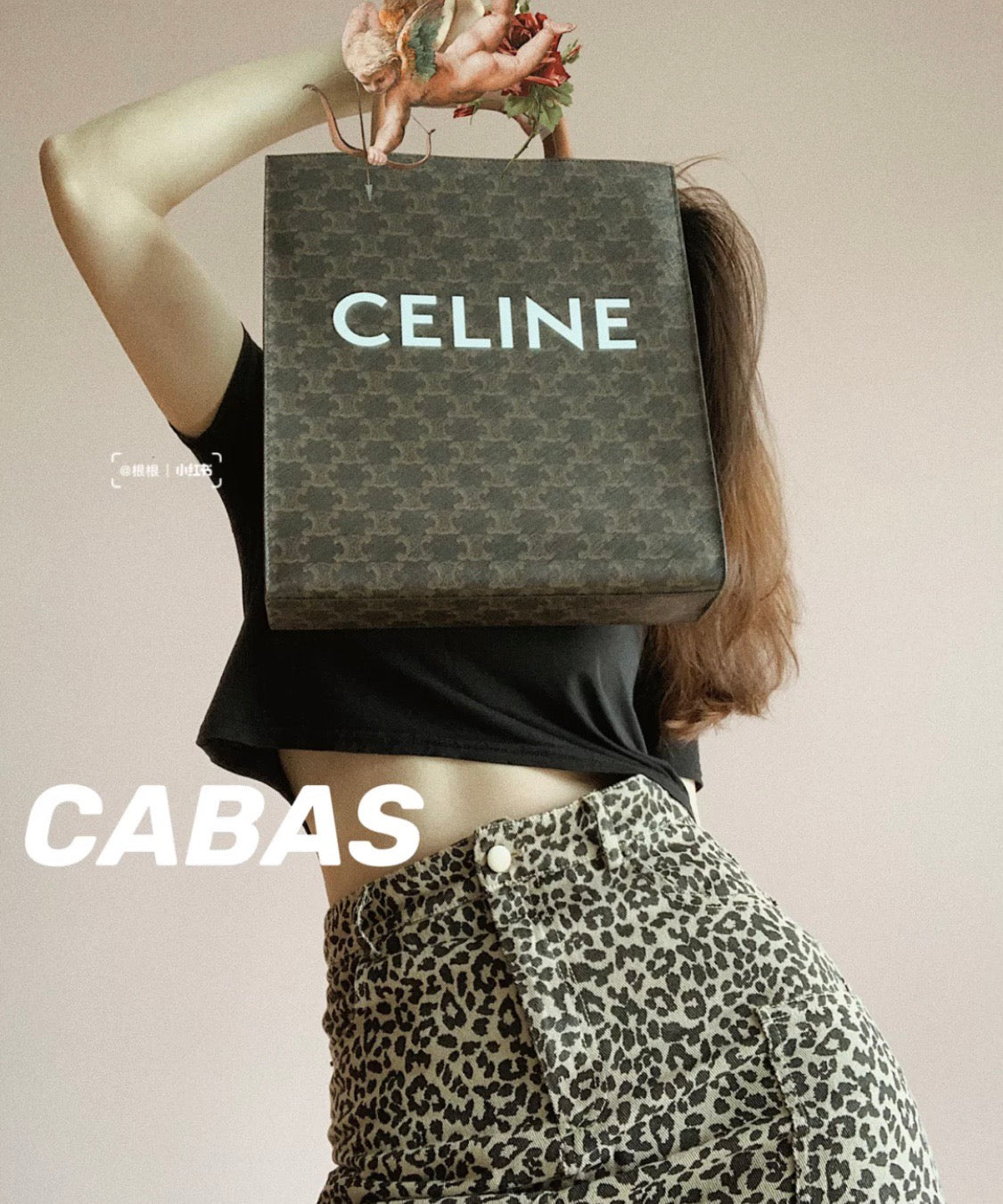 Celine Cabas 中號老花牛皮革