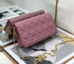 Dior 藤格紋三合一包-22cm