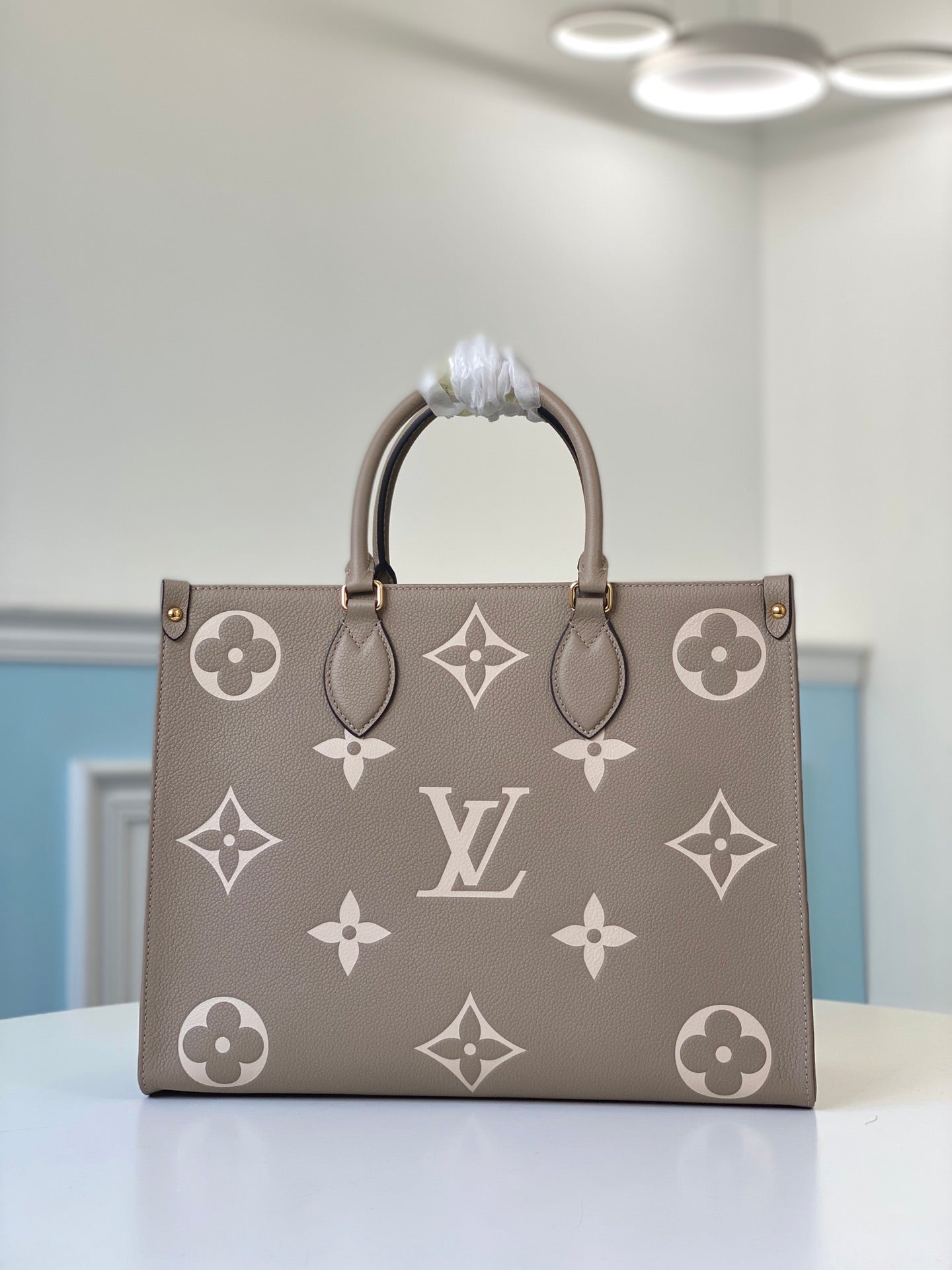 M45494 路L家-Onthego Tote 包  中號