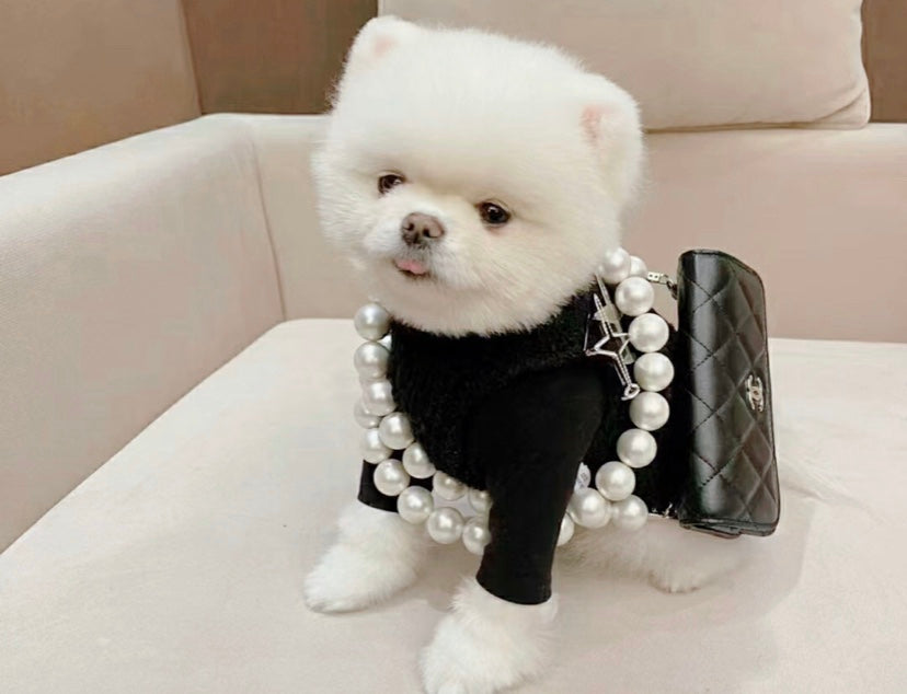Chanel 珍珠鏈條小包