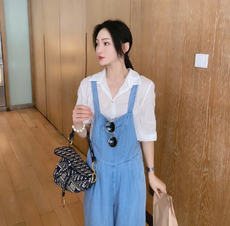 Dior Saddle 馬鞍包-2020天鵝絲絨