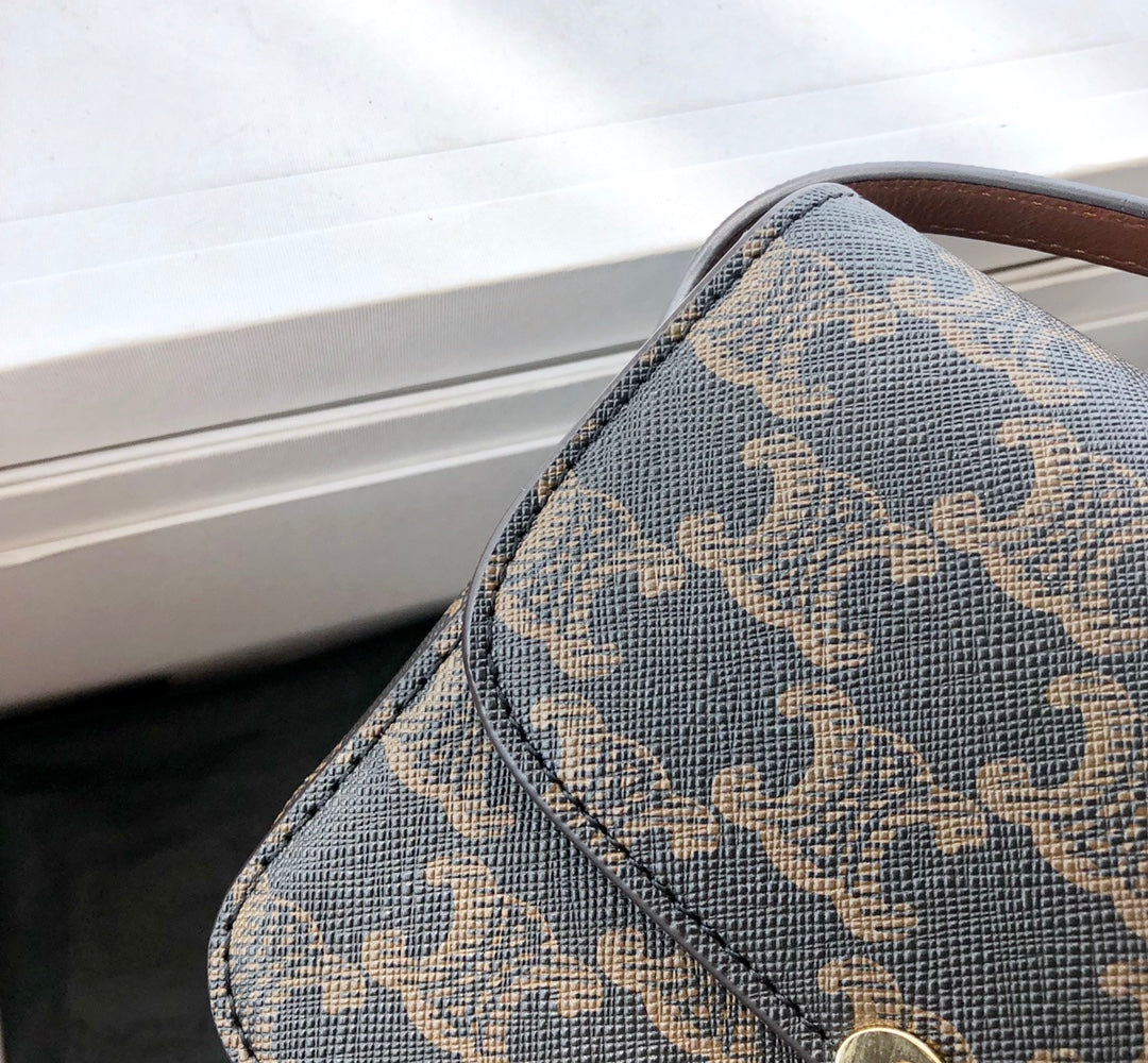 Celine TRIOMPHE NANO TRIOMPHE帆布手袋-黃褐色