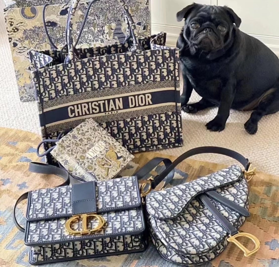 Dior 老花系列集合圖