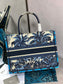 Dior Book Tote-小號36.5cm-夏日椰林