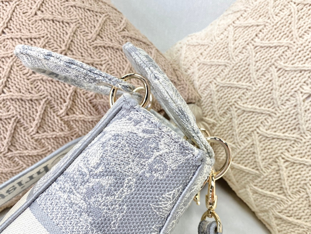 Dior Lady D-Lite黛妃包-帆布刺繡-淺灰老虎