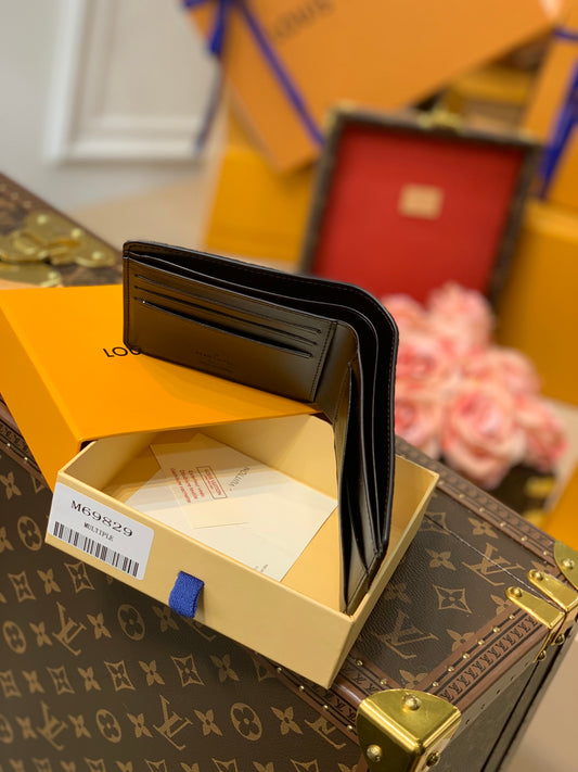 LV M69829 Aerogram Multiple 男款短夾