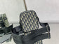 Dior 豎版相機包-15*6*18cm