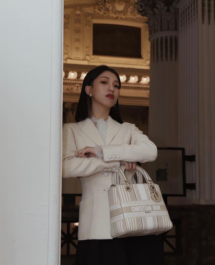 Dior Lady D-Lite黛妃包-帆布刺繡-米色條紋