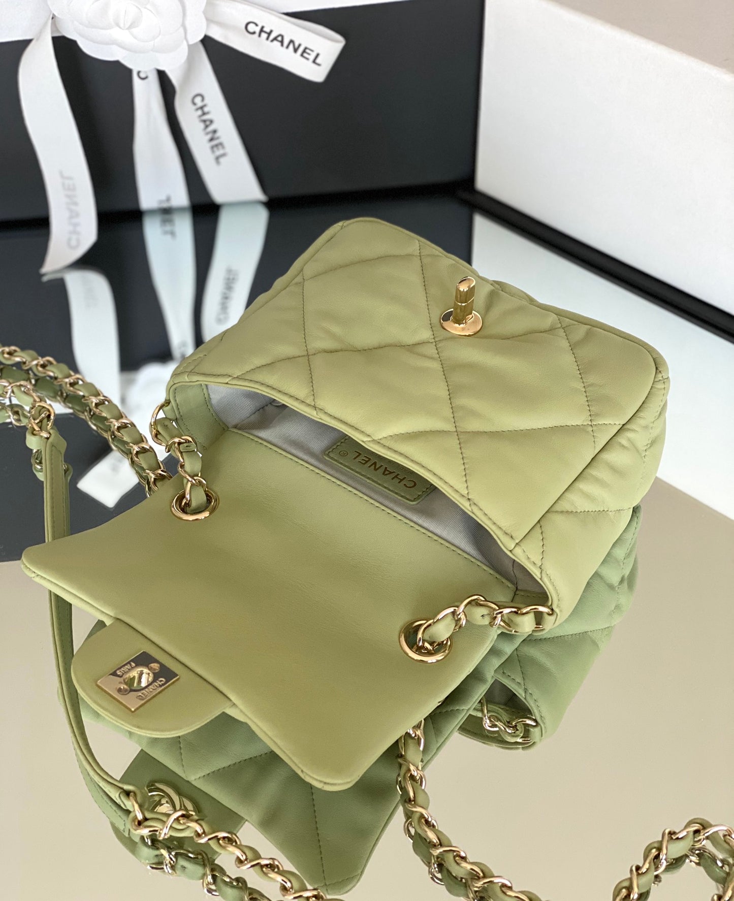 Chanel 度假系列柔軟小牛皮包-牛油果綠