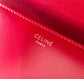 Celine TRIOMPHE 中號小牛皮