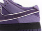 N1KE-Concepts x Nike SB Dunk Low 灰龍蝦