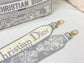 Dior Lady D-Lite黛妃包-帆布刺繡-淺灰老虎
