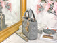 Dior-Mini Lady Dior手袋-三格黛妃-17cm-石灰色金扣
