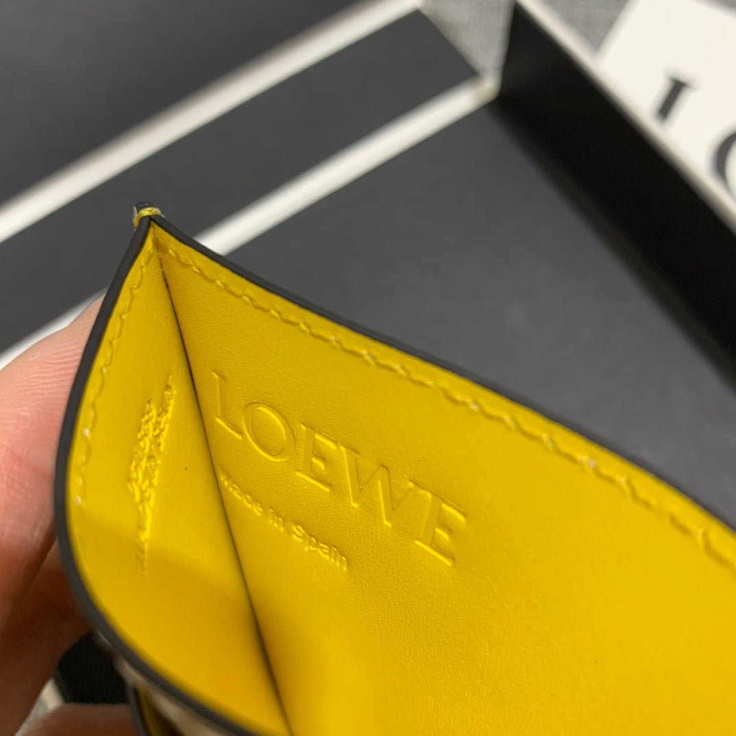 Loewe Plain Card Holder 多色拼接皮革卡包