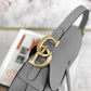 Dior Saddle 馬鞍包-手掌紋-大號石灰色-25.5cm