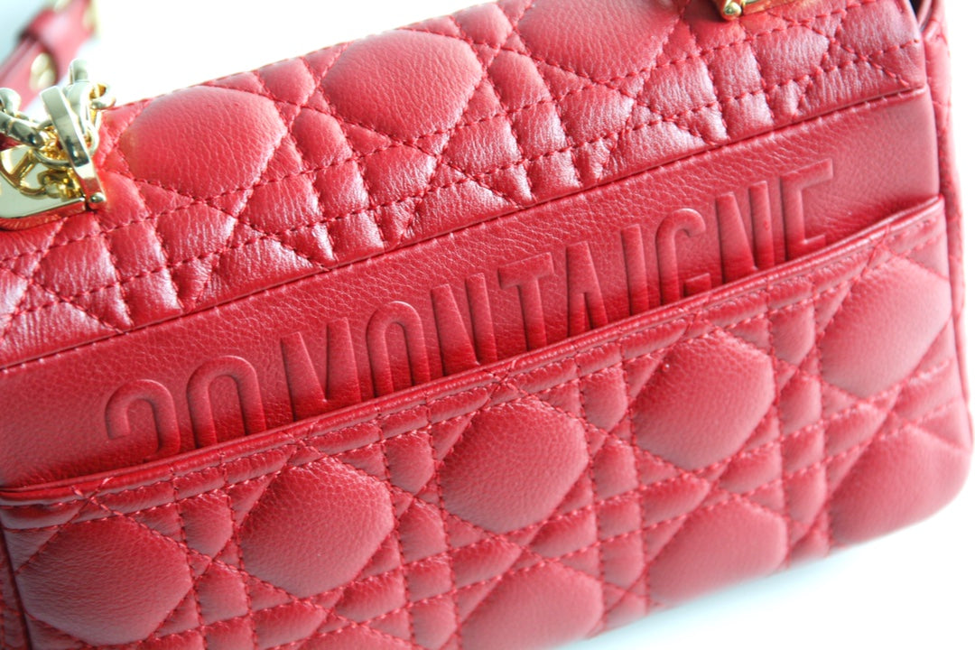 Dior Caro 小號20cm-紅色小牛皮