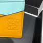 Loewe Plain Card Holder 多色拼接皮革卡包
