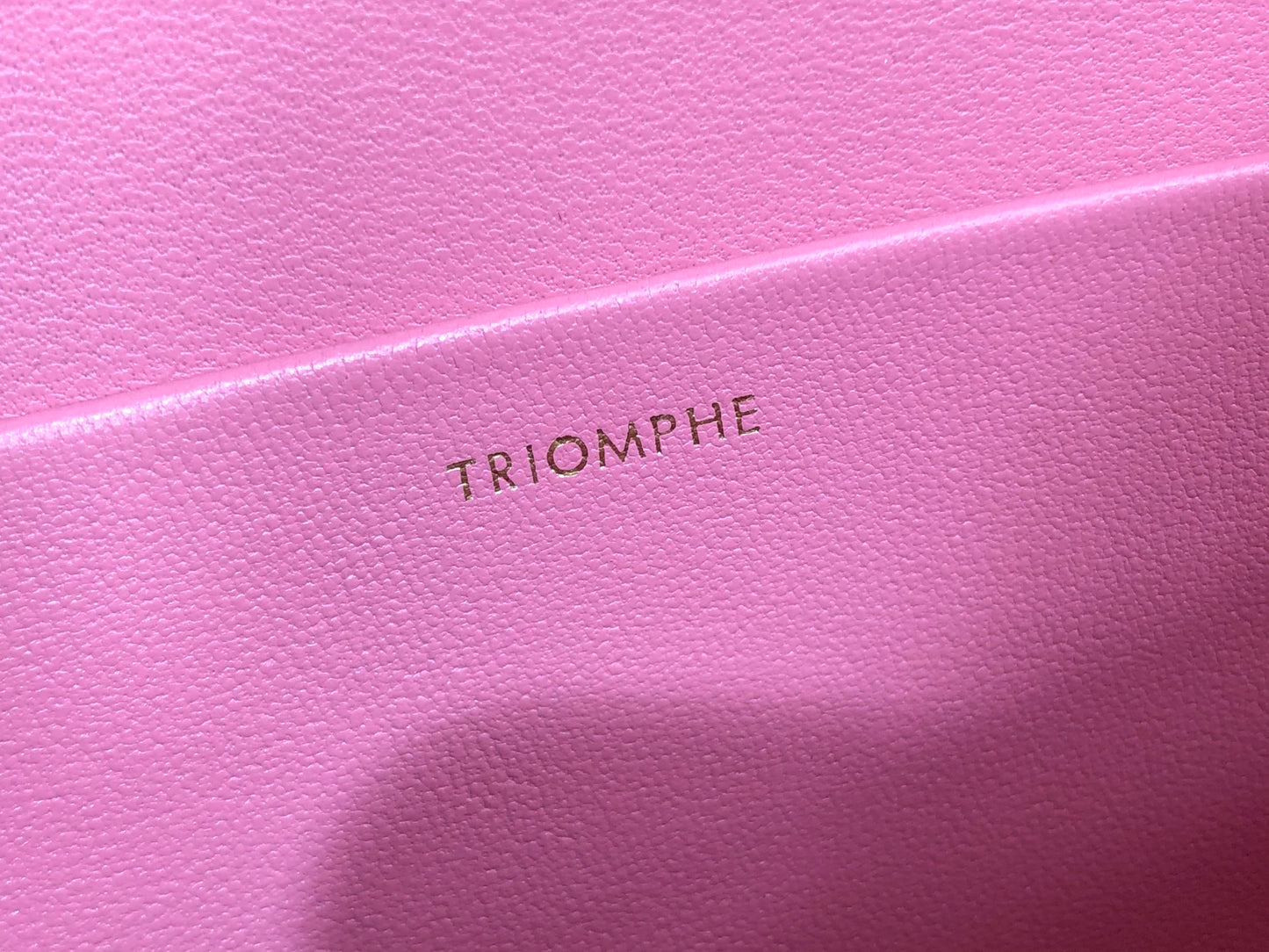 賽C家-TRIOMPHE 牛皮革背包 腋下包